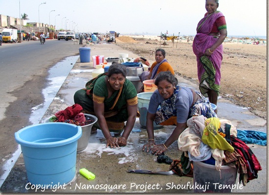 チェンナイの海沿いの堤の上で洗濯をする女性たち。